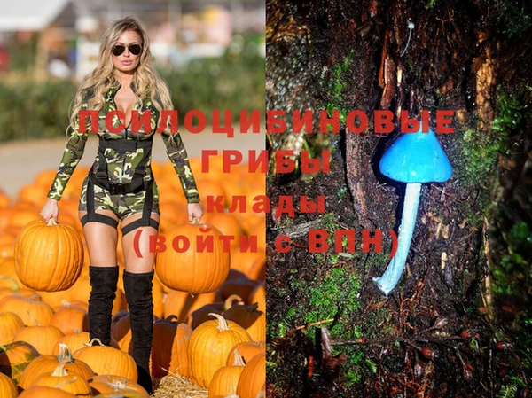 мдпв Нягань