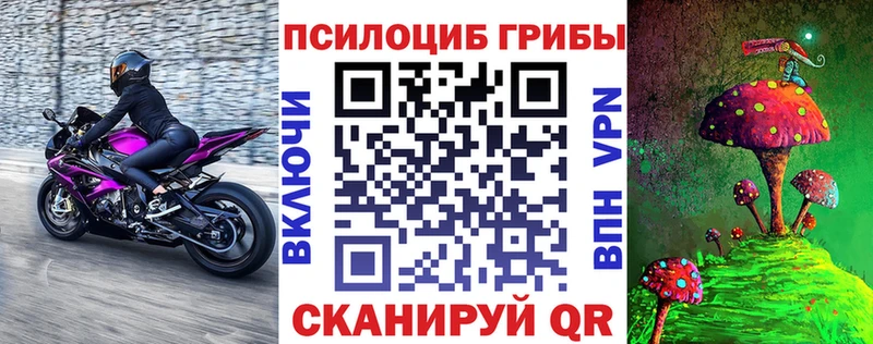 Галлюциногенные грибы ЛСД  хочу   Строитель 